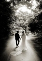 Wedding Photographer